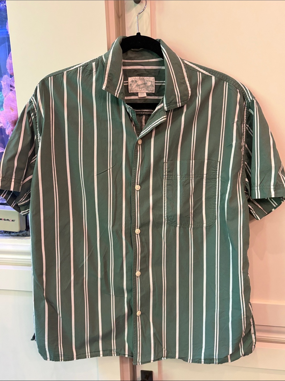 AE Green Vertical-Stripe Short-Sleeve Button-Down Shirt